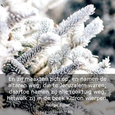 Picture 03 - 2 Kronieken 30:14 NLD - En zij maakten zich op, en namen de altaren weg, - Bible Verse Picture
