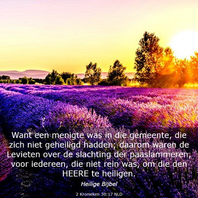 Picture 03 - 2 Kronieken 30:17 NLD - Want een menigte was in die gemeente, die zich - Bible Verse Picture