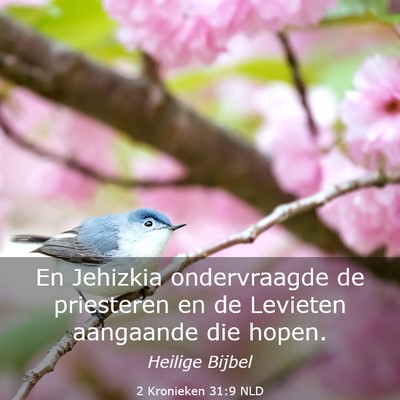 Picture 03 - 2 Kronieken 31:9 NLD - En Jehizkia ondervraagde de priesteren en de - Bible Verse Picture