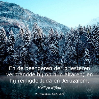 Picture 03 - 2 Kronieken 34:5 NLD - En de beenderen der priesteren verbrandde hij op - Bible Verse Picture