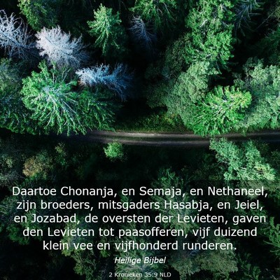 Picture 03 - 2 Kronieken 35:9 NLD - Daartoe Chonanja, en Semaja, en Nethaneel, zijn - Bible Verse Picture