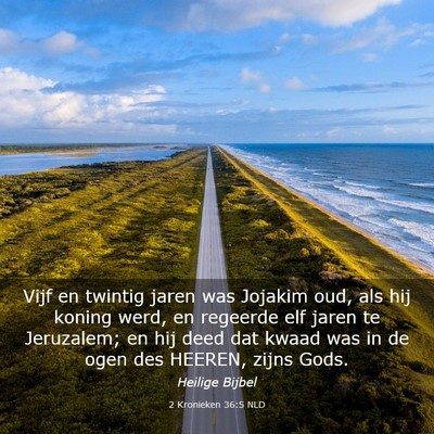 Picture 03 - 2 Kronieken 36:5 NLD - Vijf en twintig jaren was Jojakim oud, als hij - Bible Verse Picture