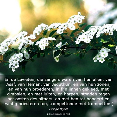 Picture 03 - 2 Kronieken 5:12 NLD - En de Levieten, die zangers waren van hen allen, - Bible Verse Picture