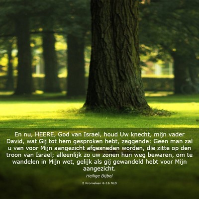 Picture 03 - 2 Kronieken 6:16 NLD - En nu, HEERE, God van Israel, houd Uw knecht, - Bible Verse Picture