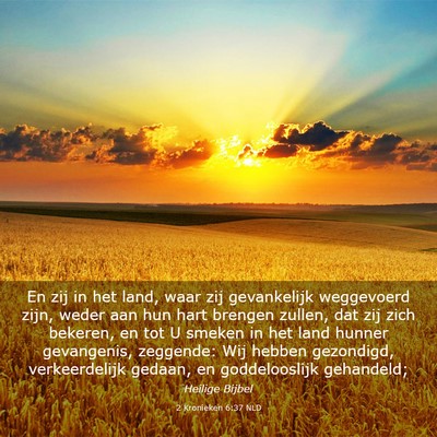 Picture 03 - 2 Kronieken 6:37 NLD - En zij in het land, waar zij gevankelijk - Bible Verse Picture