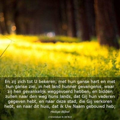 Picture 03 - 2 Kronieken 6:38 NLD - En zij zich tot U bekeren, met hun ganse hart en - Bible Verse Picture