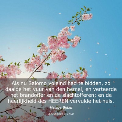 Picture 03 - 2 Kronieken 7:1 NLD - Als nu Salomo voleind had te bidden, zo daalde - Bible Verse Picture