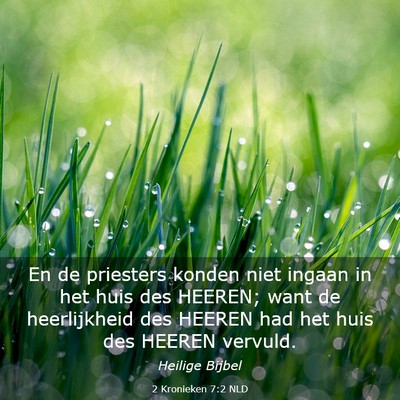 Picture 03 - 2 Kronieken 7:2 NLD - En de priesters konden niet ingaan in het huis - Bible Verse Picture