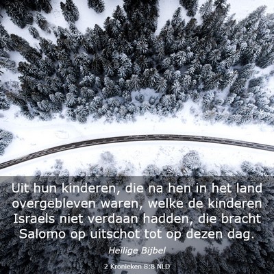 Picture 03 - 2 Kronieken 8:8 NLD - Uit hun kinderen, die na hen in het land - Bible Verse Picture