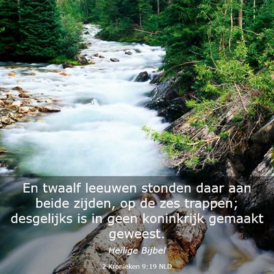 Picture 03 - 2 Kronieken 9:19 NLD - En twaalf leeuwen stonden daar aan beide zijden, - Bible Verse Picture