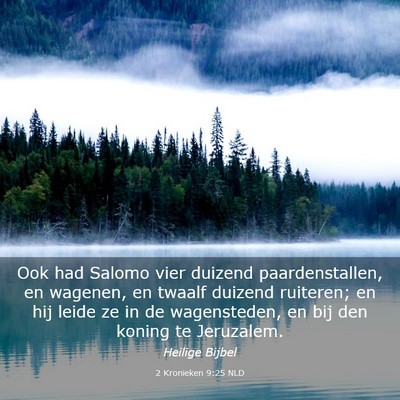 Picture 03 - 2 Kronieken 9:25 NLD - Ook had Salomo vier duizend paardenstallen, en - Bible Verse Picture