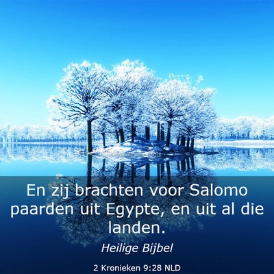 Picture 03 - 2 Kronieken 9:28 NLD - En zij brachten voor Salomo paarden uit Egypte, - Bible Verse Picture