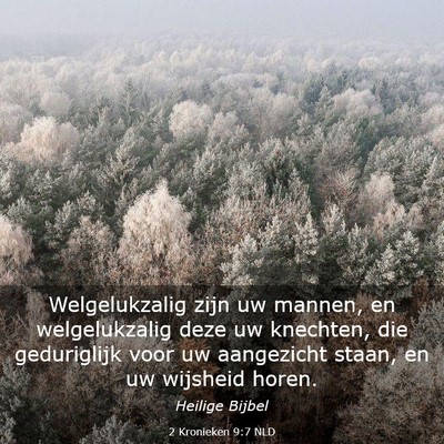 Picture 03 - 2 Kronieken 9:7 NLD - Welgelukzalig zijn uw mannen, en welgelukzalig - Bible Verse Picture