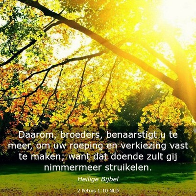 Picture 03 - 2 Petrus 1:10 NLD - Daarom, broeders, benaarstigt u te meer, om uw - Bible Verse Picture