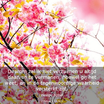 Picture 03 - 2 Petrus 1:12 NLD - Daarom zal ik niet verzuimen u altijd daarvan te - Bible Verse Picture