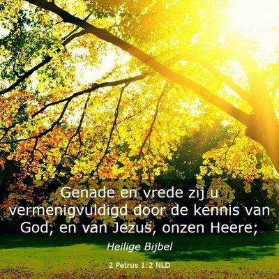 Picture 03 - 2 Petrus 1:2 NLD - Genade en vrede zij u vermenigvuldigd door de - Bible Verse Picture