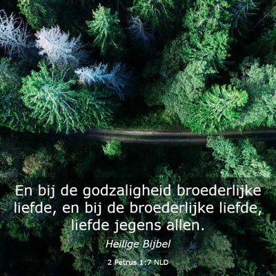 Picture 03 - 2 Petrus 1:7 NLD - En bij de godzaligheid broederlijke liefde, en - Bible Verse Picture