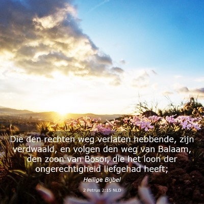 Picture 03 - 2 Petrus 2:15 NLD - Die den rechten weg verlaten hebbende, zijn - Bible Verse Picture