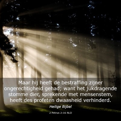 Picture 03 - 2 Petrus 2:16 NLD - Maar hij heeft de bestraffing zijner - Bible Verse Picture