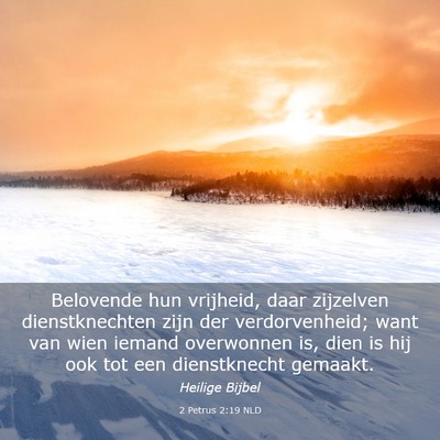 Picture 03 - 2 Petrus 2:19 NLD - Belovende hun vrijheid, daar zijzelven - Bible Verse Picture