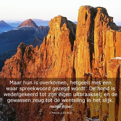 Picture 03 - 2 Petrus 2:22 NLD - Maar hun is overkomen, hetgeen met een waar - Bible Verse Picture