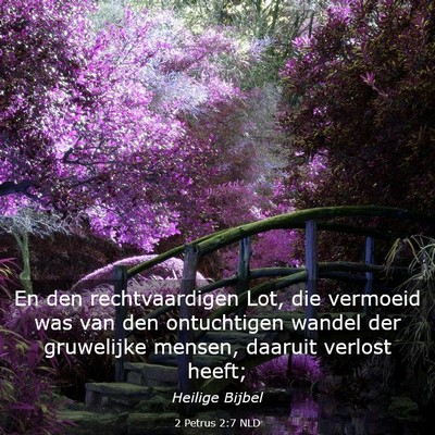 Picture 03 - 2 Petrus 2:7 NLD - En den rechtvaardigen Lot, die vermoeid was van - Bible Verse Picture