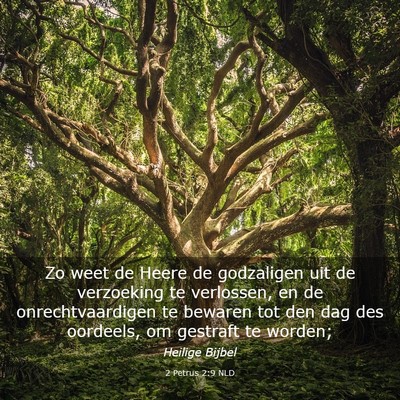 Picture 03 - 2 Petrus 2:9 NLD - Zo weet de Heere de godzaligen uit de verzoeking - Bible Verse Picture