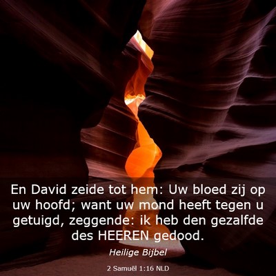 Picture 03 - 2 Samuël 1:16 NLD - En David zeide tot hem: Uw bloed zij op uw hoofd; - Bible Verse Picture