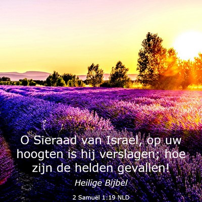 Picture 03 - 2 Samuël 1:19 NLD - O Sieraad van Israel, op uw hoogten is hij - Bible Verse Picture