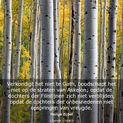 Picture 03 - 2 Samuël 1:20 NLD - Verkondigt het niet te Gath, boodschapt het niet - Bible Verse Picture