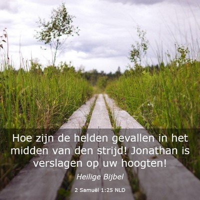 Picture 03 - 2 Samuël 1:25 NLD - Hoe zijn de helden gevallen in het midden van den - Bible Verse Picture