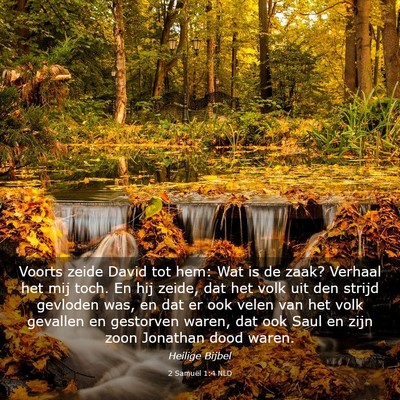 Picture 03 - 2 Samuël 1:4 NLD - Voorts zeide David tot hem: Wat is de zaak? - Bible Verse Picture