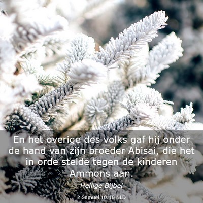 Picture 03 - 2 Samuël 10:10 NLD - En het overige des volks gaf hij onder de hand - Bible Verse Picture