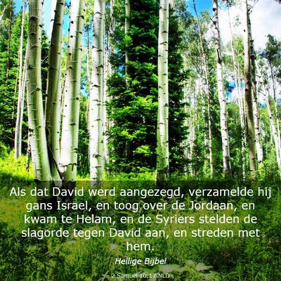 Picture 03 - 2 Samuël 10:17 NLD - Als dat David werd aangezegd, verzamelde hij gans - Bible Verse Picture
