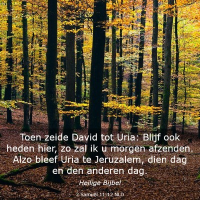 Picture 03 - 2 Samuël 11:12 NLD - Toen zeide David tot Uria: Blijf ook heden hier, - Bible Verse Picture