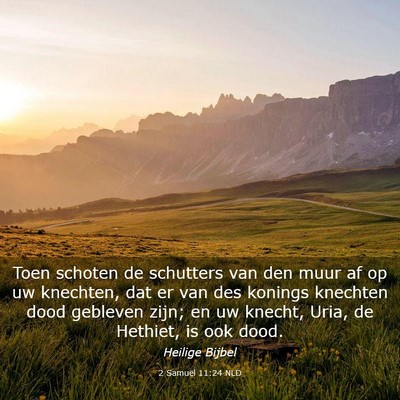 Picture 03 - 2 Samuël 11:24 NLD - Toen schoten de schutters van den muur af op uw - Bible Verse Picture