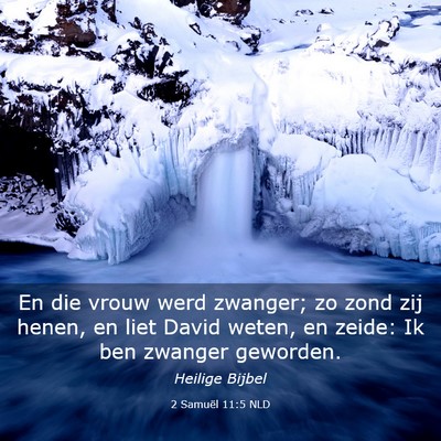 Picture 03 - 2 Samuël 11:5 NLD - En die vrouw werd zwanger; zo zond zij henen, en - Bible Verse Picture