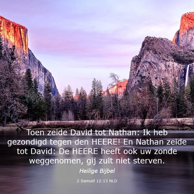 Picture 03 - 2 Samuël 12:13 NLD - Toen zeide David tot Nathan: Ik heb gezondigd - Bible Verse Picture