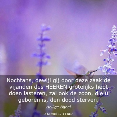 Picture 03 - 2 Samuël 12:14 NLD - Nochtans, dewijl gij door deze zaak de vijanden - Bible Verse Picture