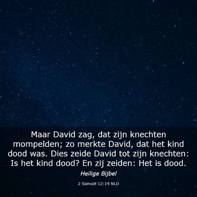 Picture 03 - 2 Samuël 12:19 NLD - Maar David zag, dat zijn knechten mompelden; zo - Bible Verse Picture