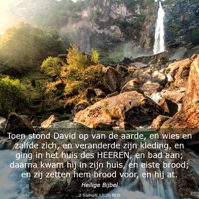 Picture 03 - 2 Samuël 12:20 NLD - Toen stond David op van de aarde, en wies en - Bible Verse Picture