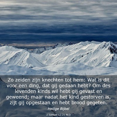 Picture 03 - 2 Samuël 12:21 NLD - Zo zeiden zijn knechten tot hem: Wat is dit voor - Bible Verse Picture