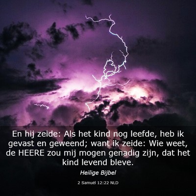 Picture 03 - 2 Samuël 12:22 NLD - En hij zeide: Als het kind nog leefde, heb ik - Bible Verse Picture