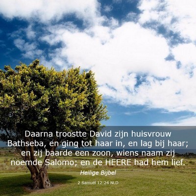 Picture 03 - 2 Samuël 12:24 NLD - Daarna troostte David zijn huisvrouw Bathseba, en - Bible Verse Picture