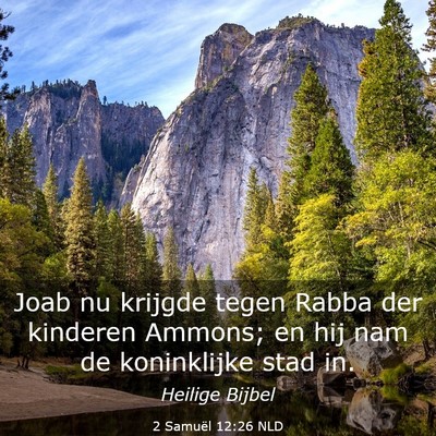Picture 03 - 2 Samuël 12:26 NLD - Joab nu krijgde tegen Rabba der kinderen Ammons; - Bible Verse Picture