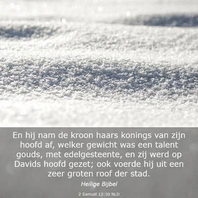 Picture 03 - 2 Samuël 12:30 NLD - En hij nam de kroon haars konings van zijn hoofd - Bible Verse Picture