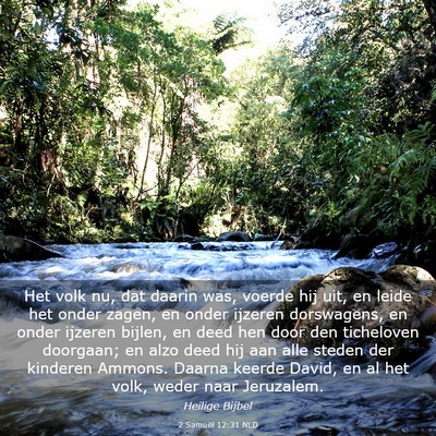 Picture 03 - 2 Samuël 12:31 NLD - Het volk nu, dat daarin was, voerde hij uit, en - Bible Verse Picture