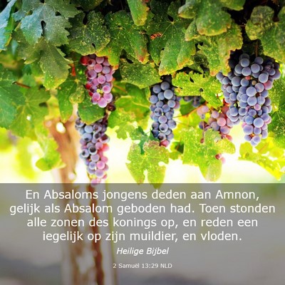 Picture 03 - 2 Samuël 13:29 NLD - En Absaloms jongens deden aan Amnon, gelijk als - Bible Verse Picture