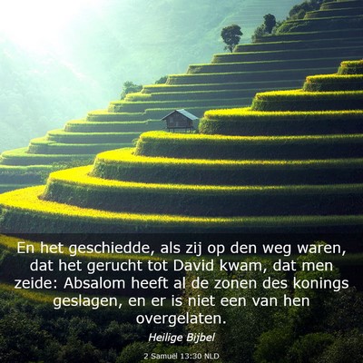 Picture 03 - 2 Samuël 13:30 NLD - En het geschiedde, als zij op den weg waren, dat - Bible Verse Picture
