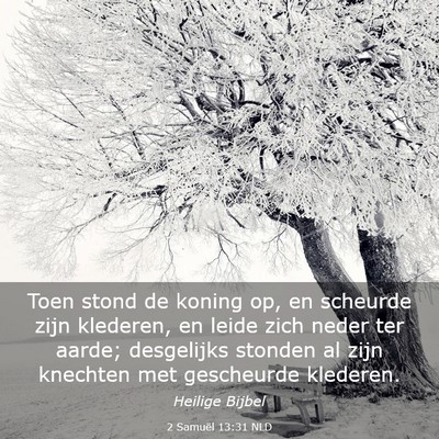 Picture 03 - 2 Samuël 13:31 NLD - Toen stond de koning op, en scheurde zijn - Bible Verse Picture